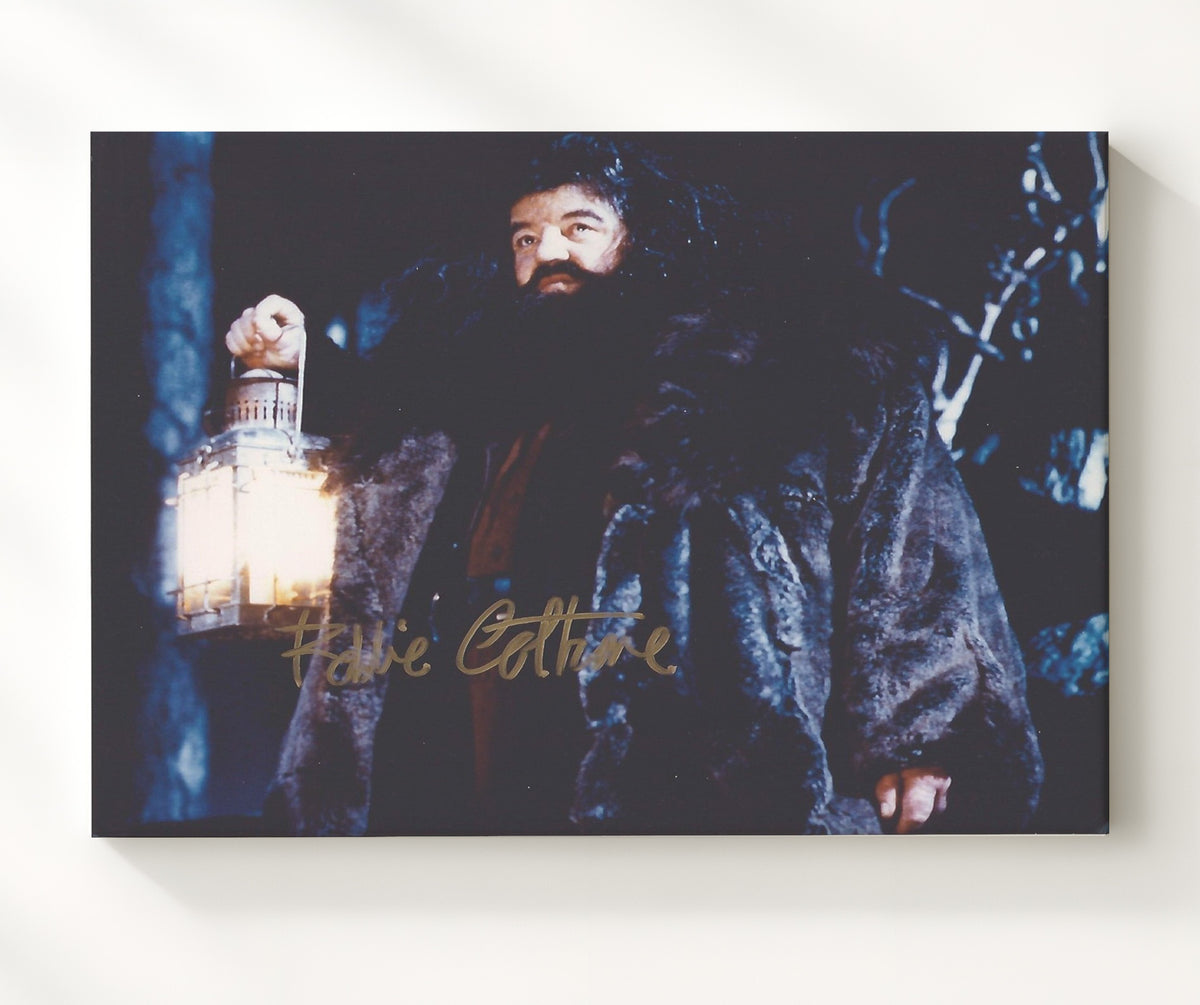 Harry Potter - Coltrane - Hagrid - Keeper of Keys and Grounds movie wall art 20x24 Canvas