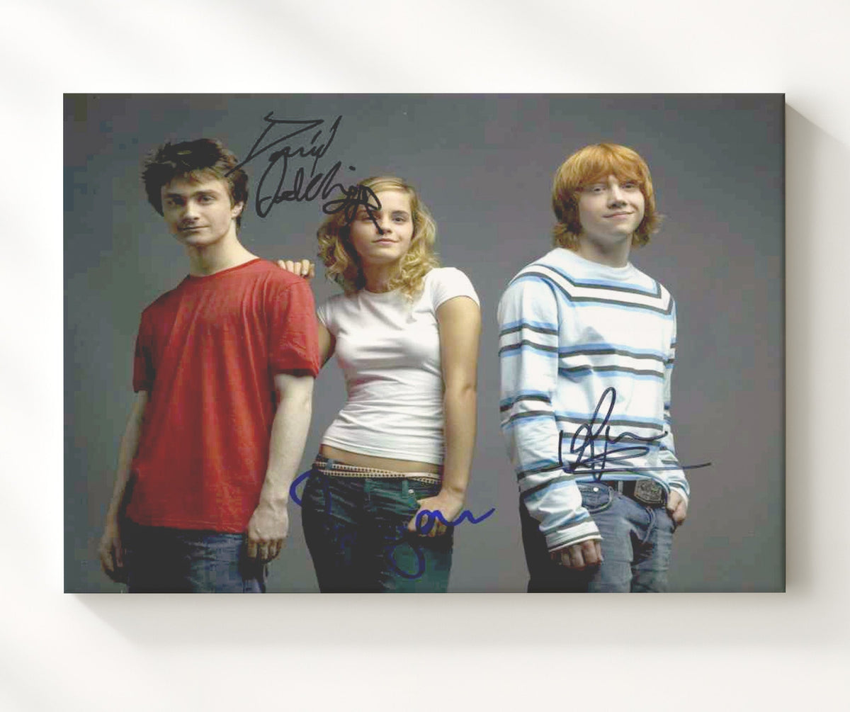 Harry Potter - Daniel Radcliffe - Harry Potter - Trio wizard bond movie wall art 8x10 Beveled Frame