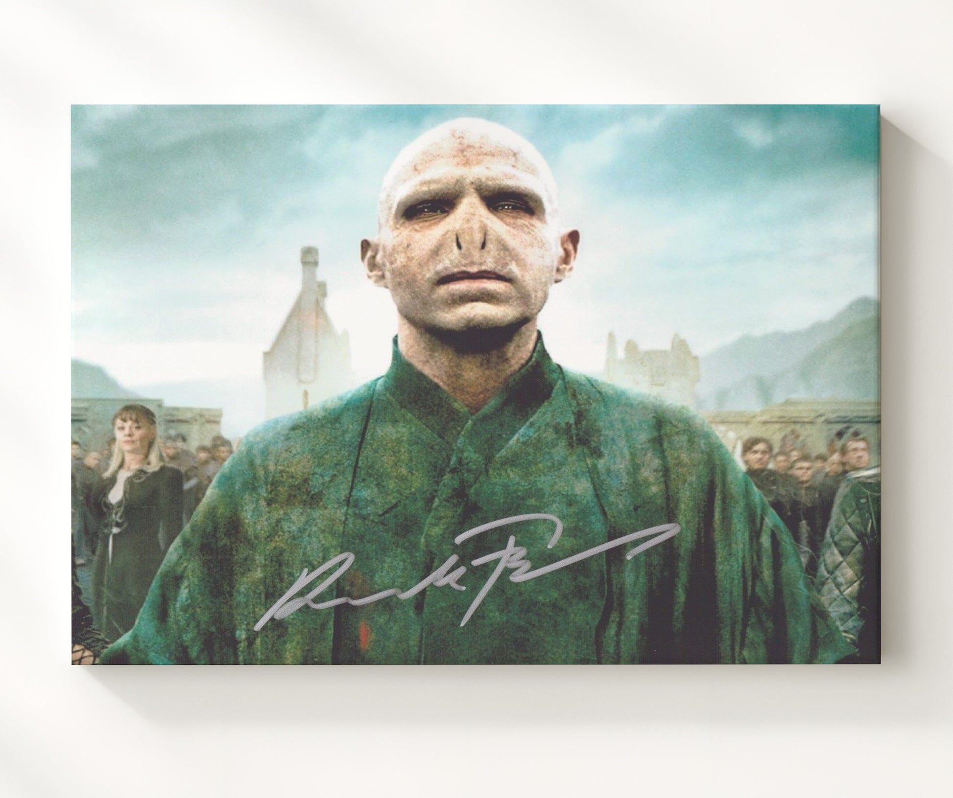 Harry Potter - Fiennes - Voldemort - Dark Power Rising movie wall art 20x24 Canvas