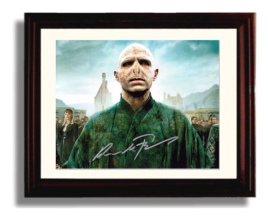 Harry Potter - Fiennes - Voldemort - Dark Power Rising movie wall art 8x10 Beveled Frame