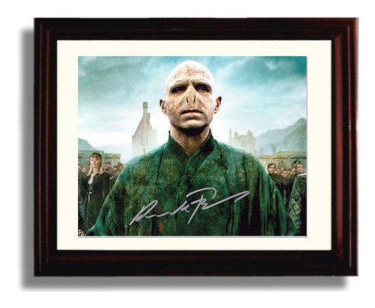 Harry Potter - Fiennes - Voldemort - Dark Power Rising movie wall art 8x10 Beveled Frame