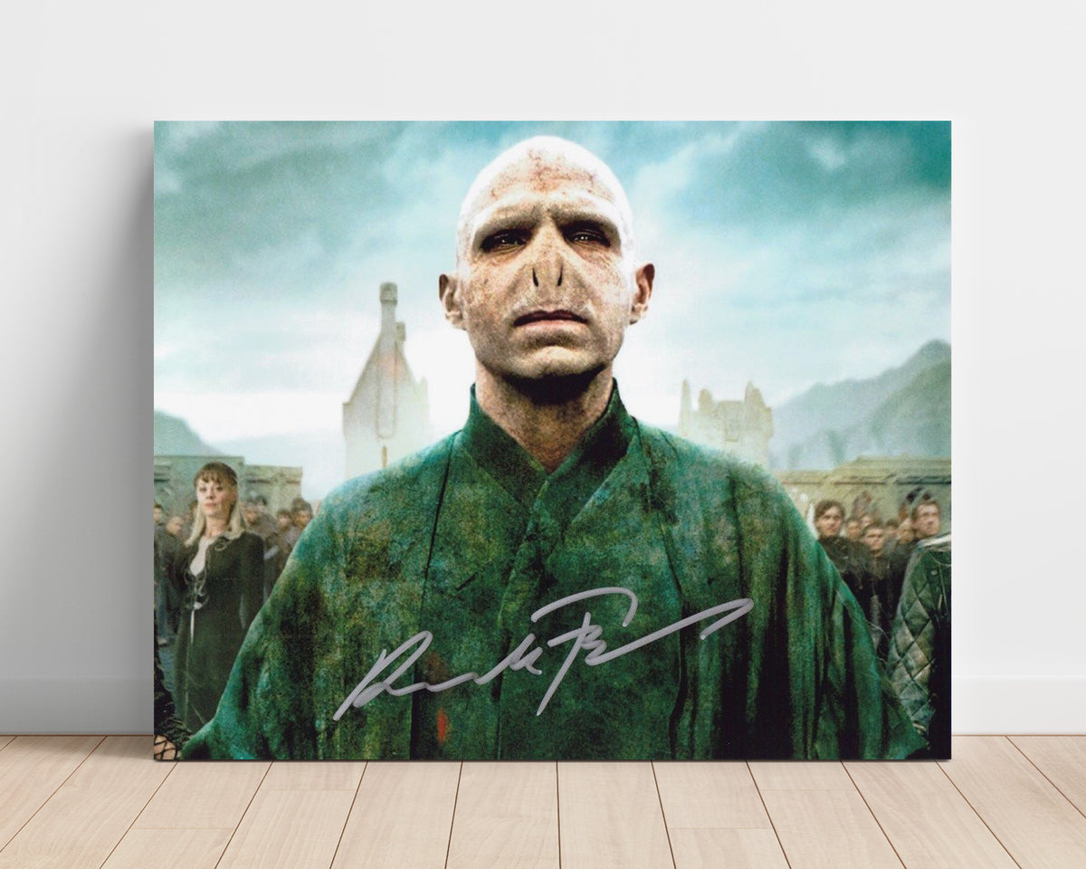 Harry Potter - Fiennes - Voldemort - Dark Power Rising movie wall art 16x20 Unframed Print