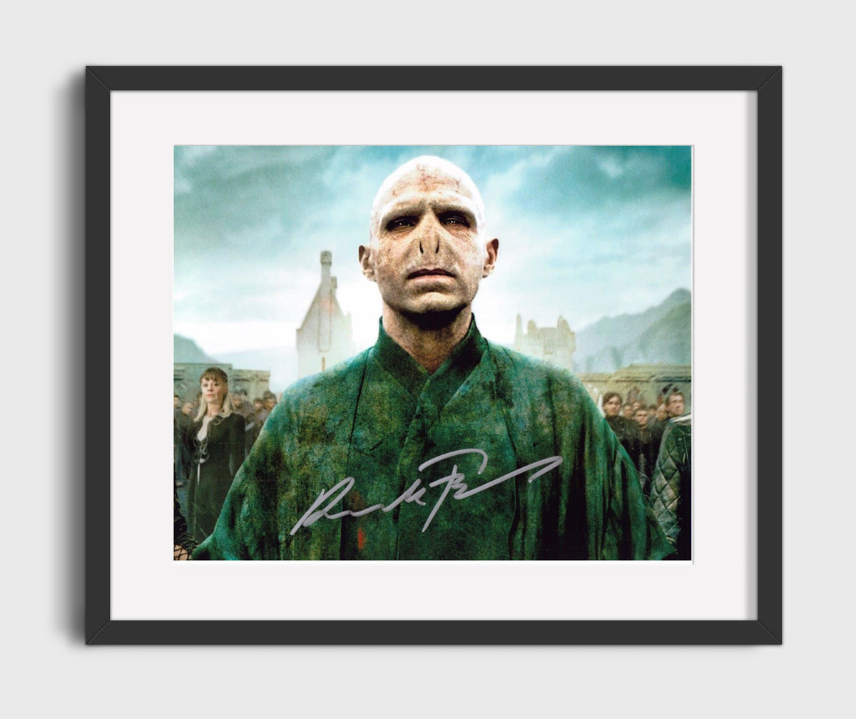 Harry Potter - Fiennes - Voldemort - Dark Power Rising movie wall art 16x20 Gallery Frame