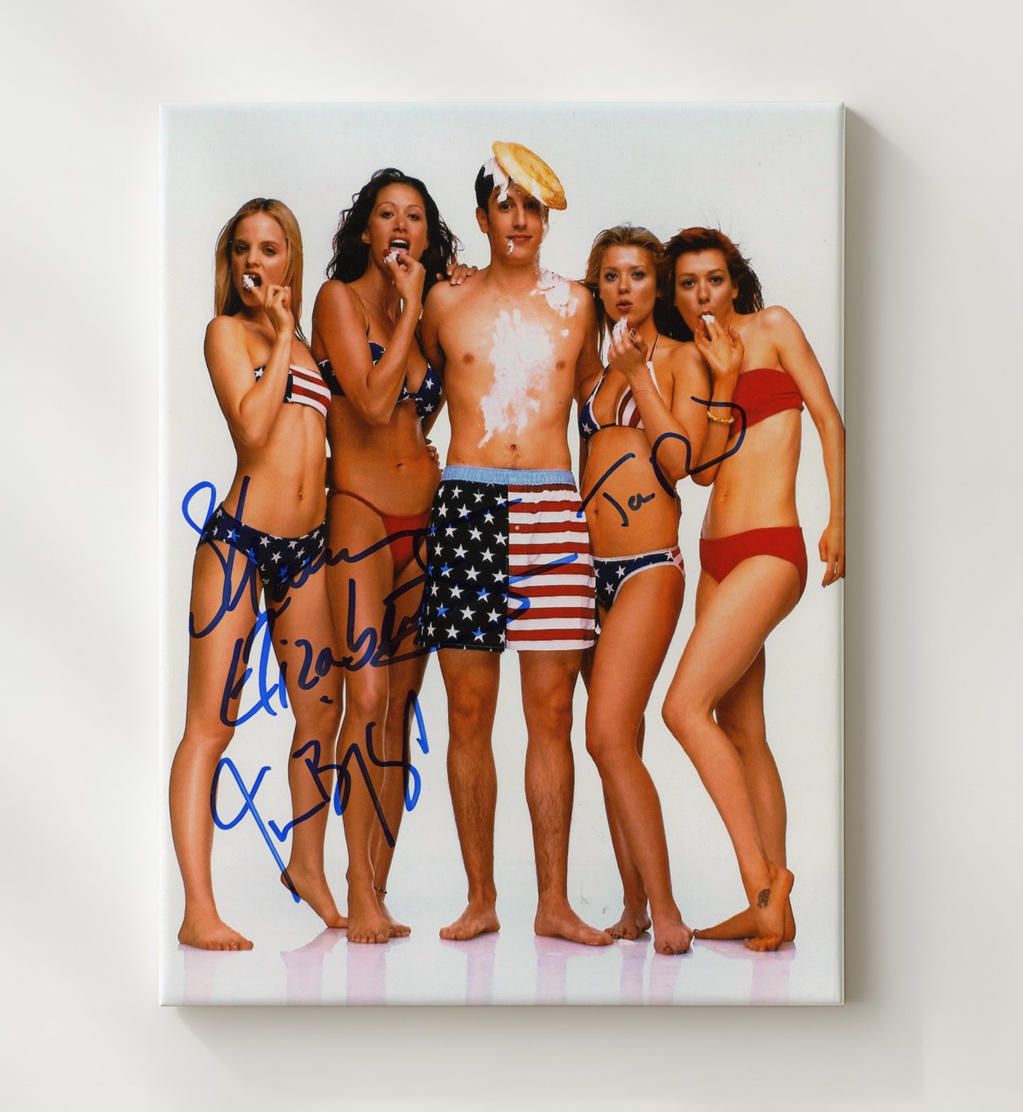 Jason Biggs and Cast - American Pie Ensemble Cast Poster Vintage Movie Wall Art - 20x24 Canvas movie decor