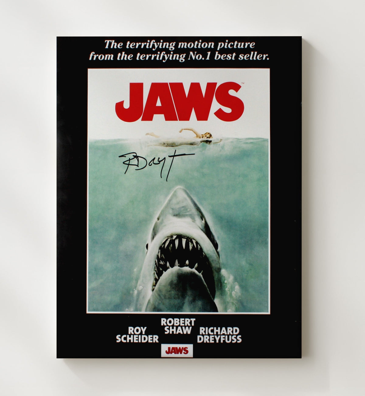 Jaws - Richard Dreyfuss - Matt Hooper - Oceanographer Diving Gear Montage movie wall art 8x10 Beveled Frame