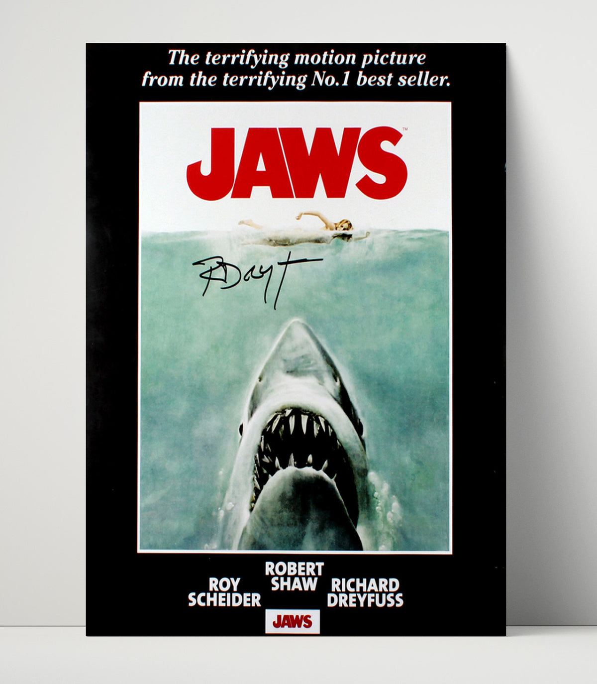 Jaws - Richard Dreyfuss - Matt Hooper - Oceanographer Diving Gear Montage movie wall art 16x20 Unframed Print