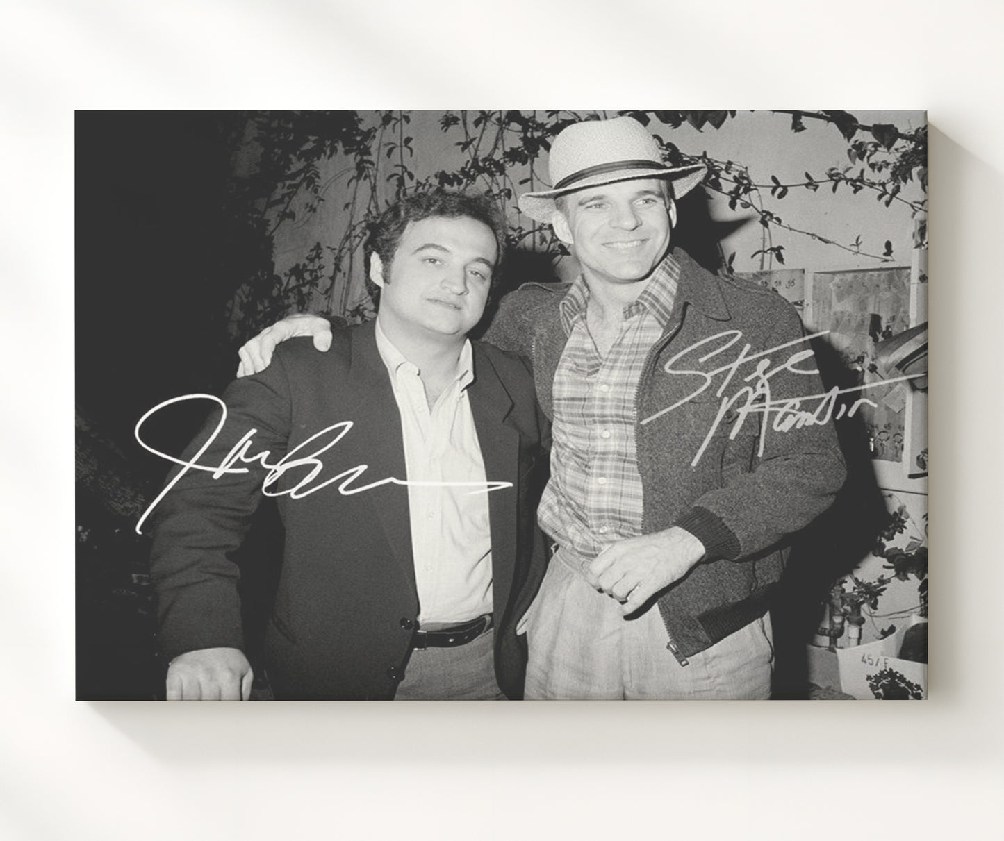 John Belushi and Steve Martin - Comedy Legends Together movie wall art 20x24 Canvas