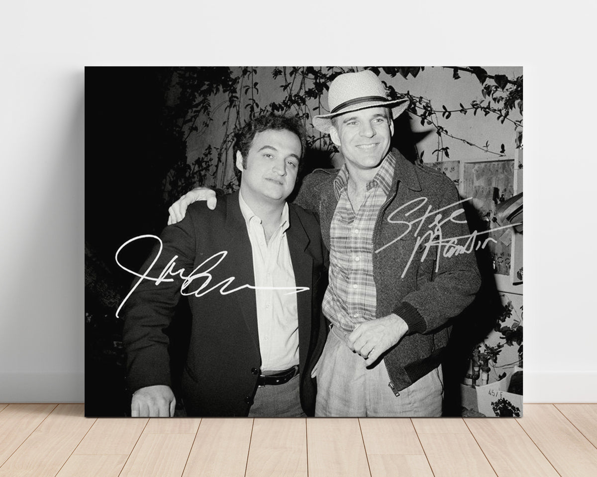 John Belushi and Steve Martin - Comedy Legends Together movie wall art 16x20 Unframed Print