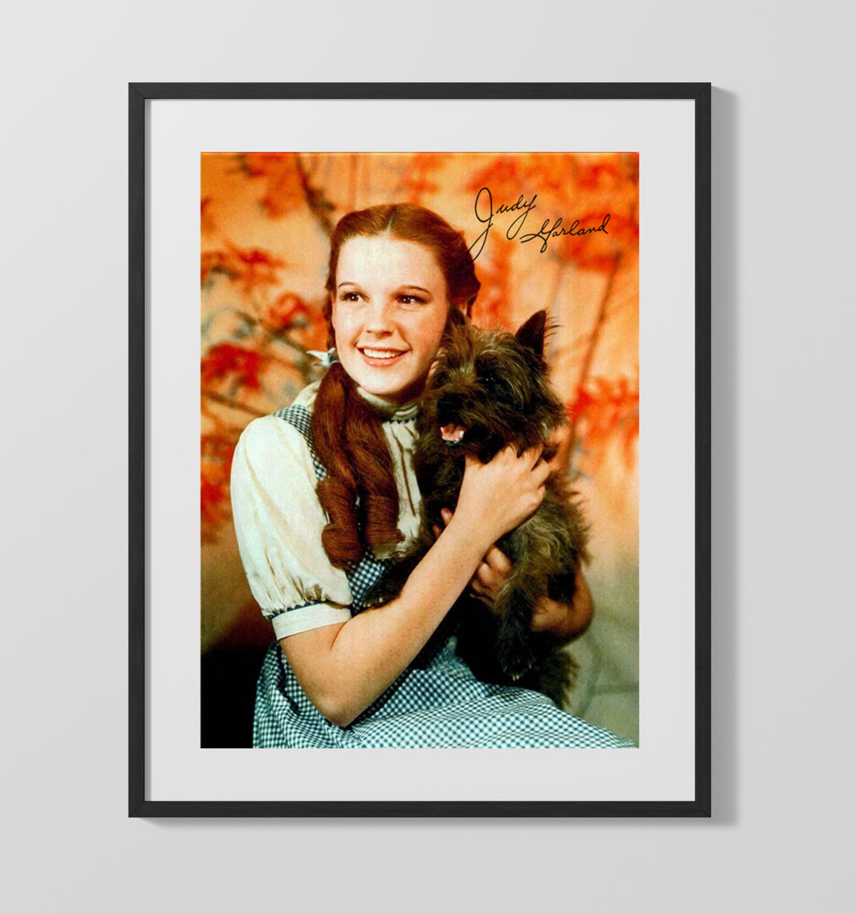 Judy Garland - Wizard of Oz Magic movie wall art 16x20 Gallery Frame