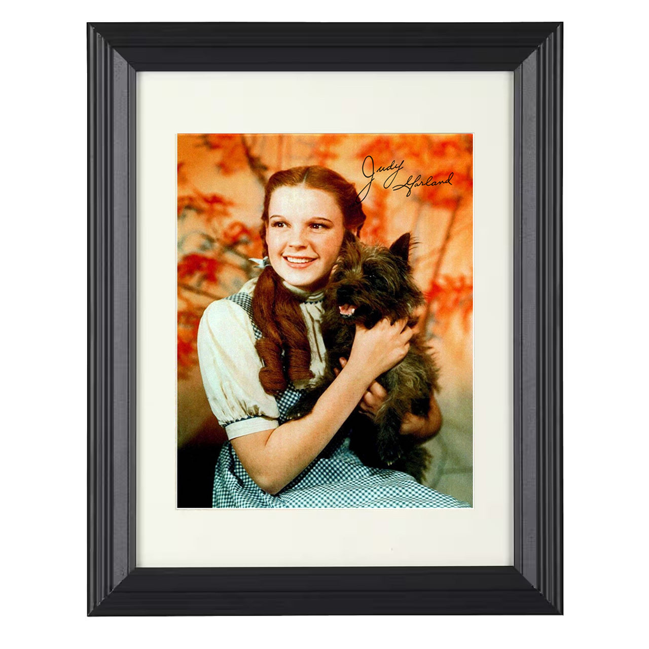 Judy Garland – Wizard of Oz Magic Image – 8x10 black beveled framed movie wall art