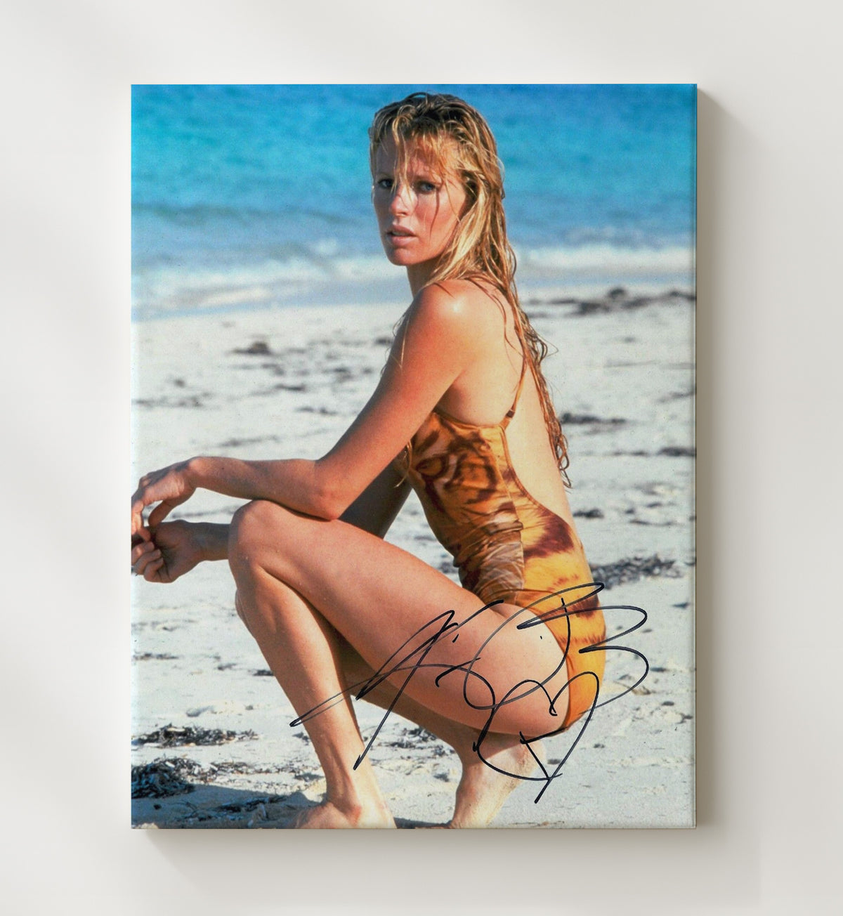 Kim Basinger - Beach Swimsuit Seaside Look movie wall art 20x24 Canvas