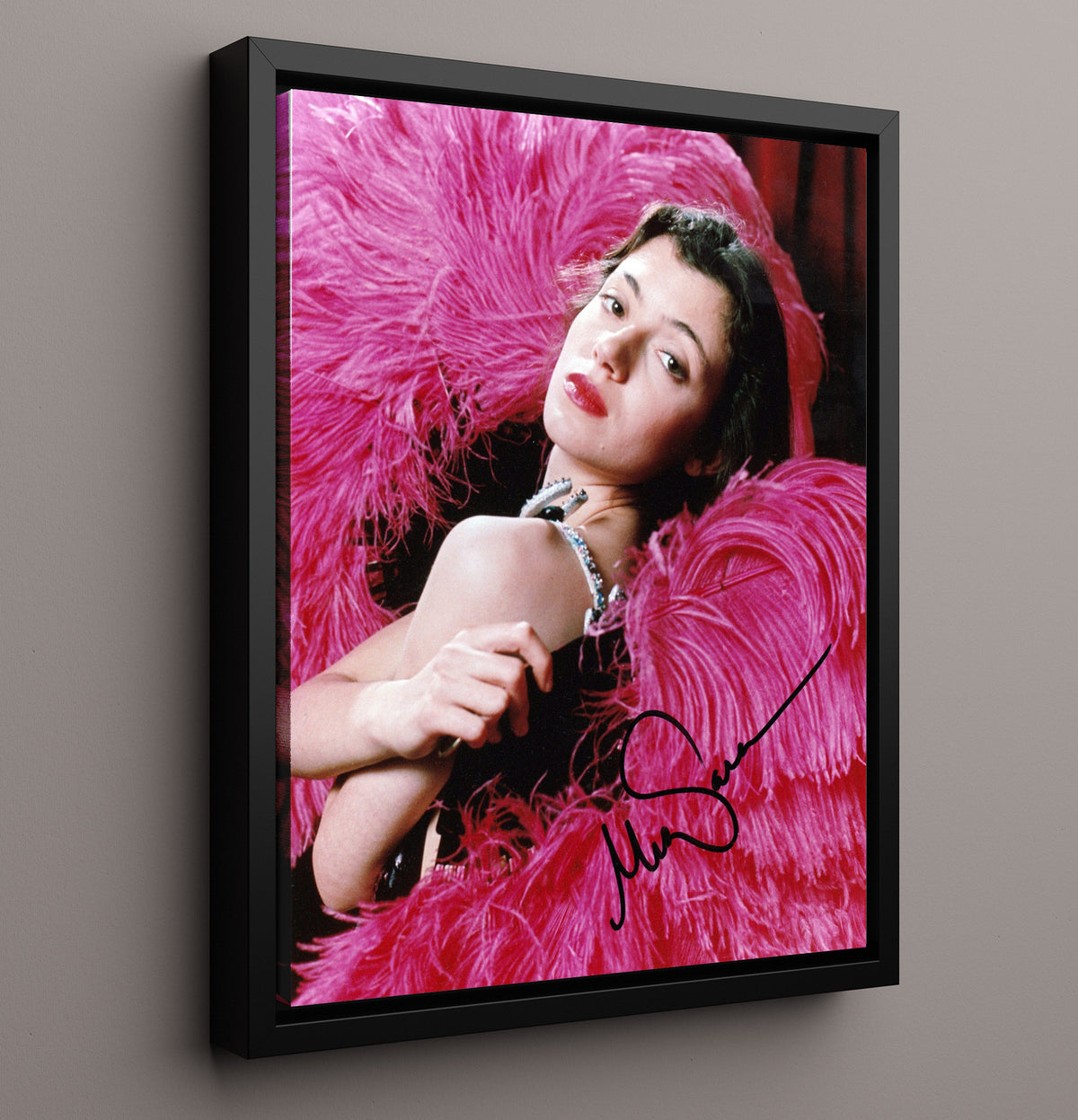 Mia Sara - Timeless Beauty Hollywood Starlet Charm movie wall art 16x20 Framed Canvas