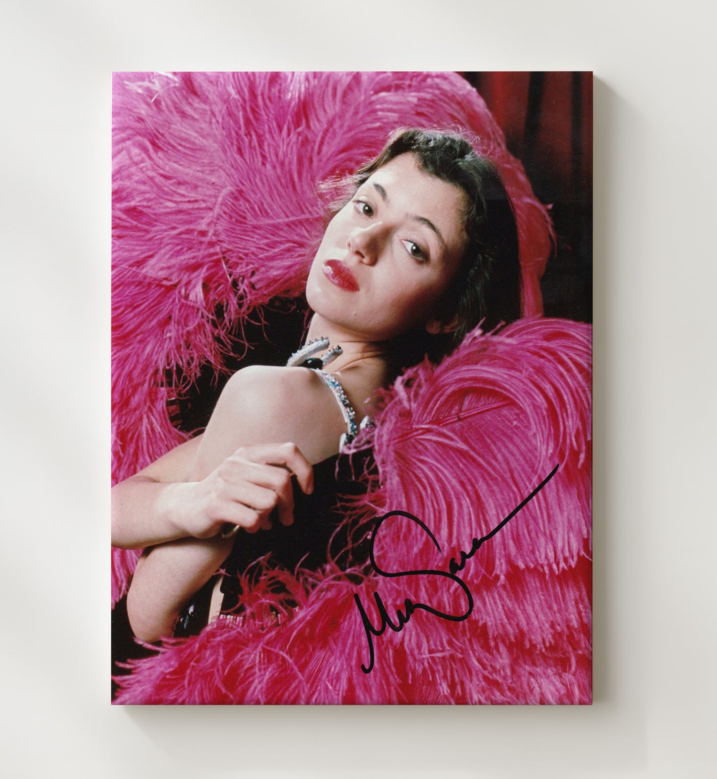 Mia Sara - Timeless Beauty Hollywood Starlet Charm movie wall art 20x24 Canvas
