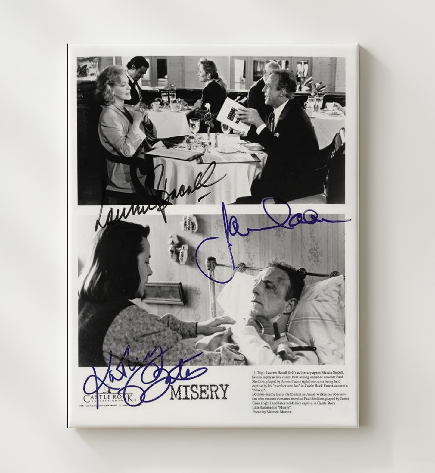 Misery - James Caan Kathy Bates Thriller Terror Scene movie wall art 20x24 Canvas