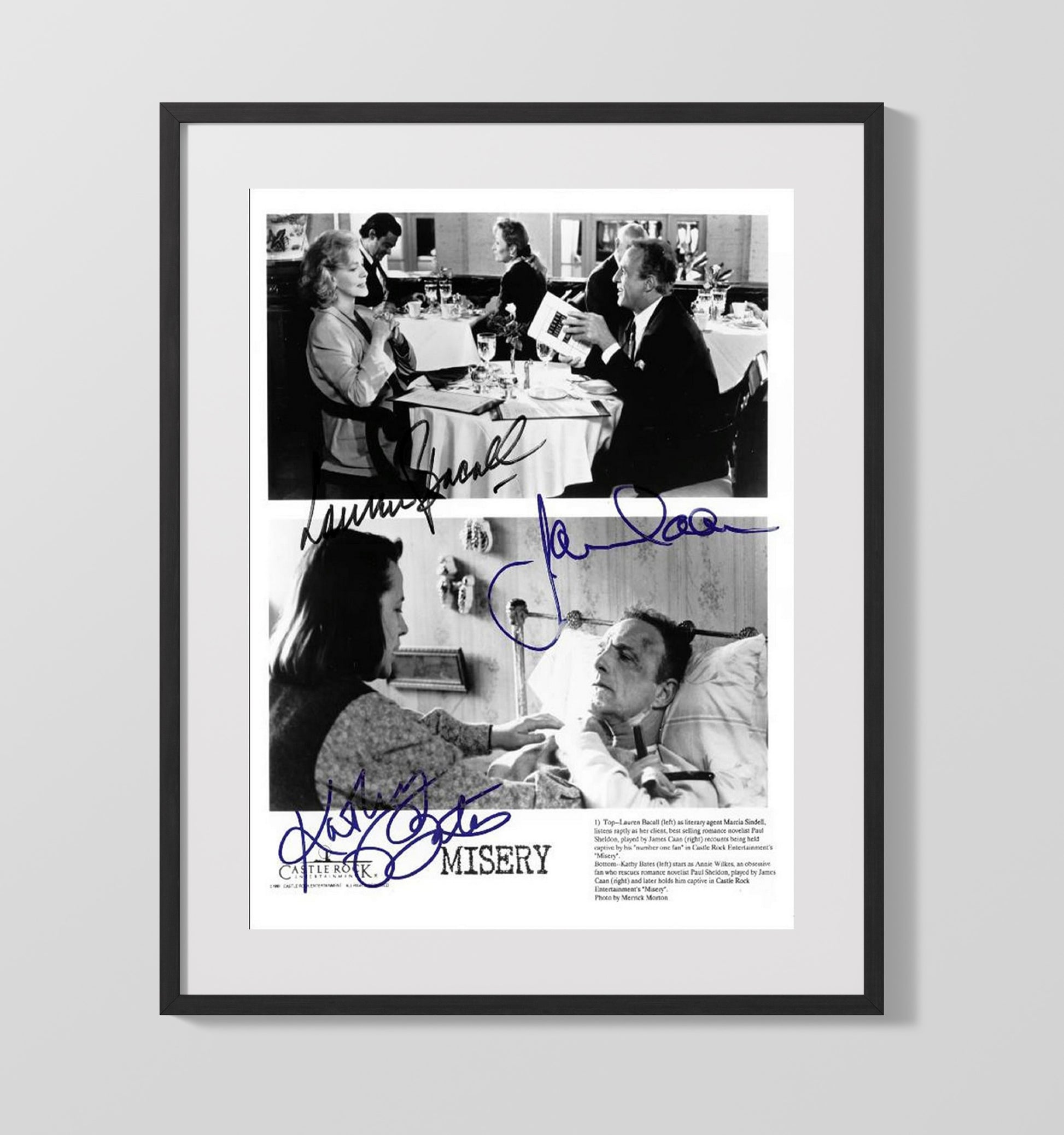 Misery - James Caan Kathy Bates Thriller Terror Scene movie wall art 16x20 Gallery Frame