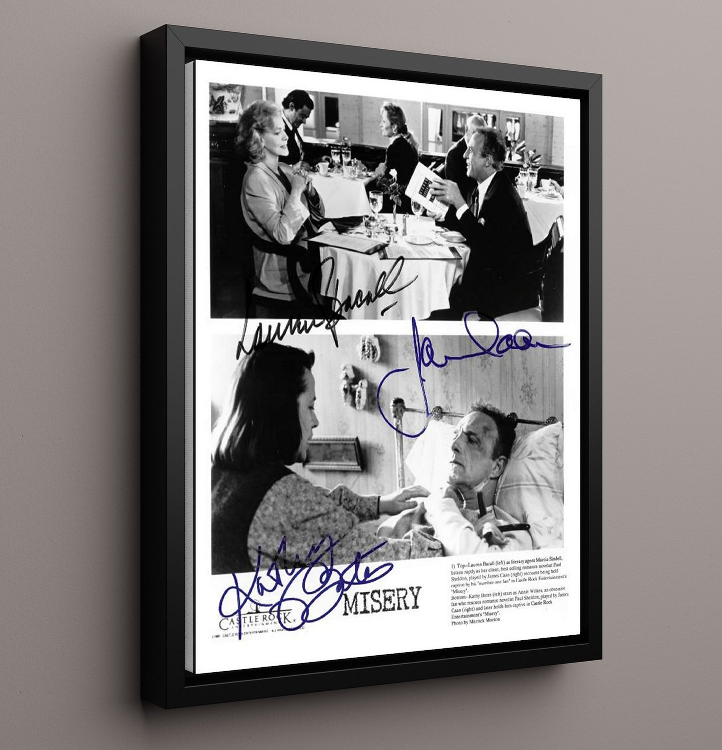 Misery - James Caan Kathy Bates Thriller Terror Scene Vintage Movie Wall Art - 16x20 Framed Canvas movie decor