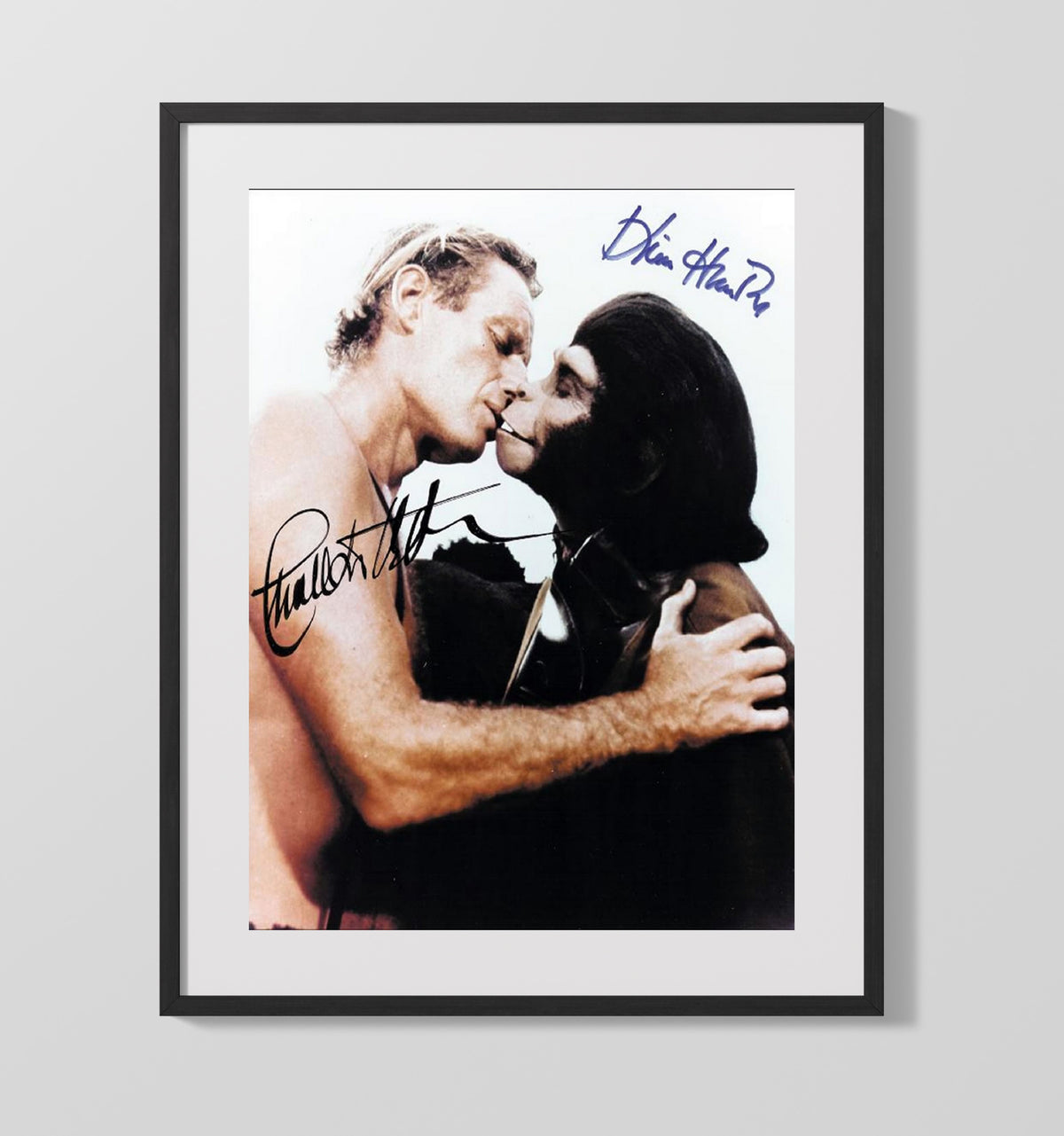 Planet of the Apes - Charlton Heston - Taylor and Kim Hunter - Zira - Human Ape Kiss Scene movie wall art 16x20 Gallery Frame