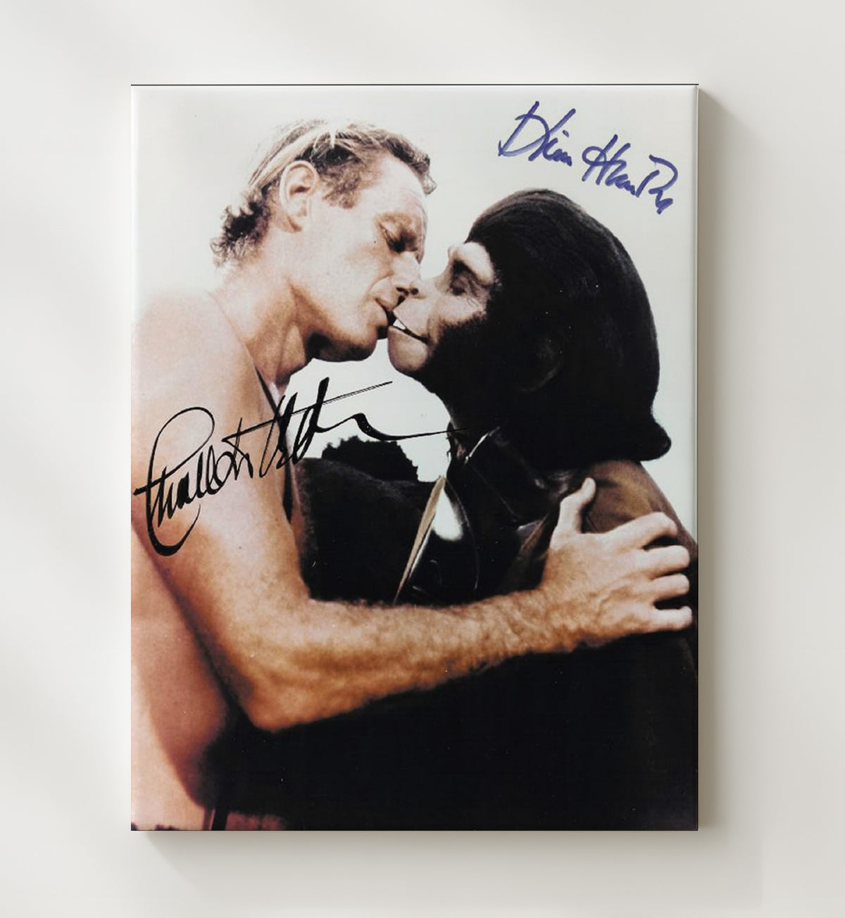 Planet of the Apes - Charlton Heston - Taylor and Kim Hunter - Zira - Human Ape Kiss Scene movie wall art 20x24 Canvas