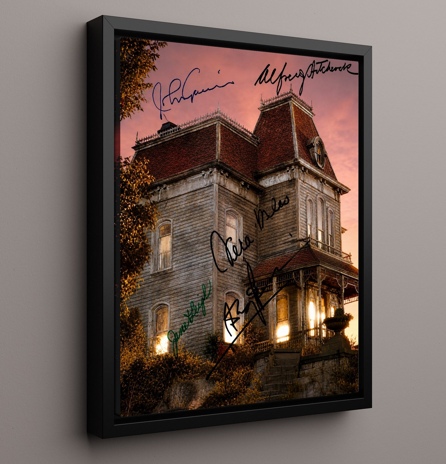 Psycho - Haunted House Cast Vintage Movie Wall Art - 16x20 Framed Canvas movie decor