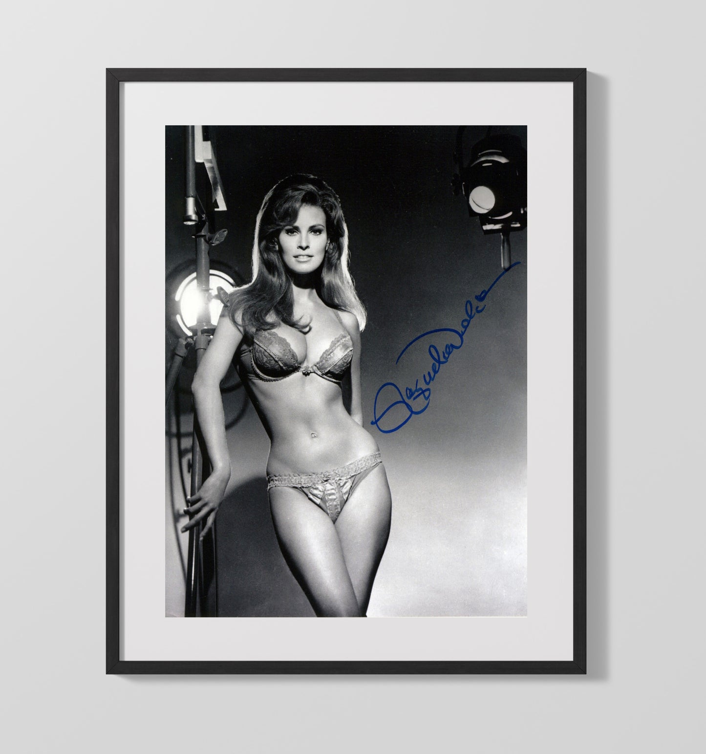 Raquel Welch - Spotlight Glam Vintage Movie Wall Art - 16x20 Gallery Frame movie decor