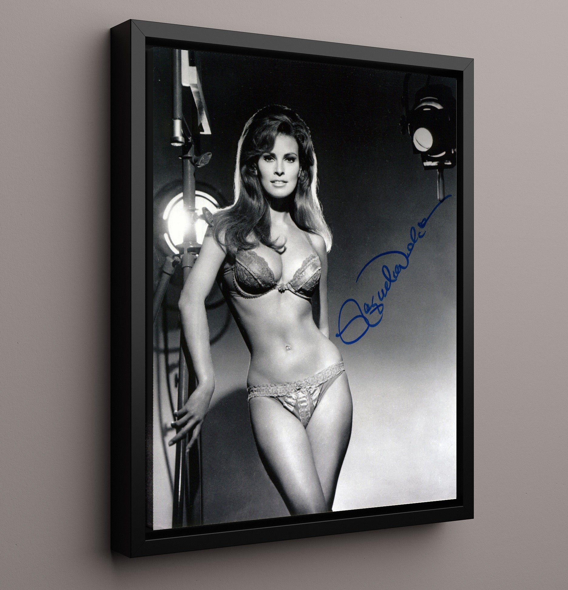 Raquel Welch - Spotlight Glam Vintage Movie Wall Art - 16x20 Framed Canvas movie decor