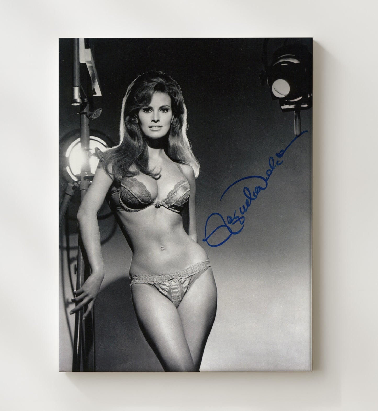 Raquel Welch - Spotlight Glam Vintage Movie Wall Art - 20x24 Canvas movie decor