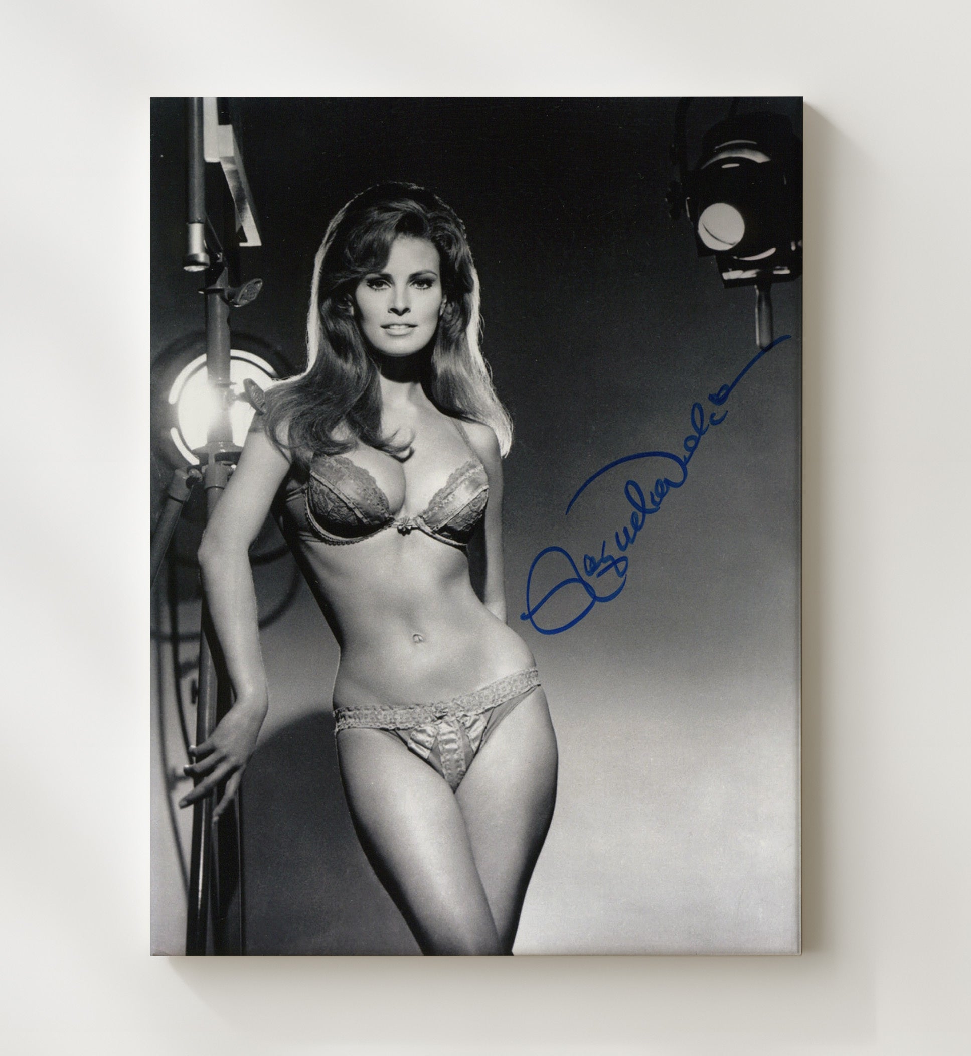 Raquel Welch - Spotlight Glam Vintage Movie Wall Art - 20x24 Canvas movie decor