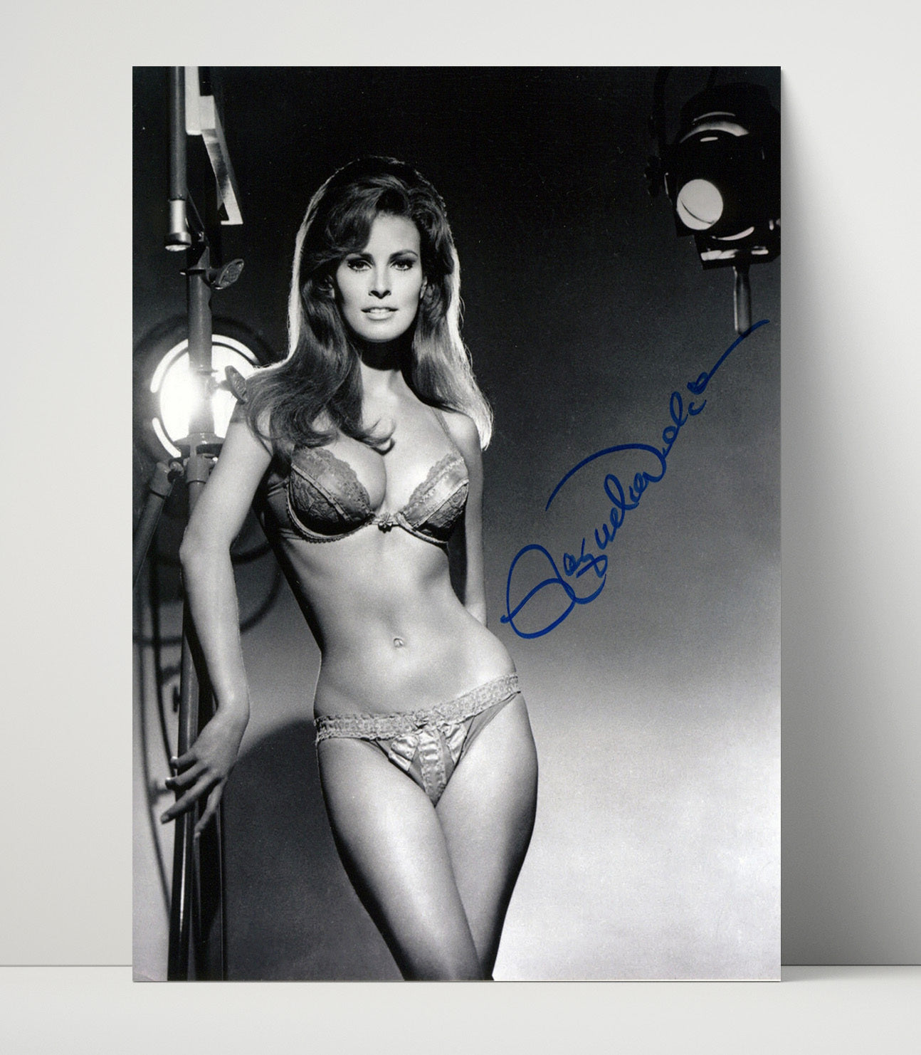 Raquel Welch - Spotlight Glam Vintage Movie Wall Art - 16x20 Unframed Print movie decor