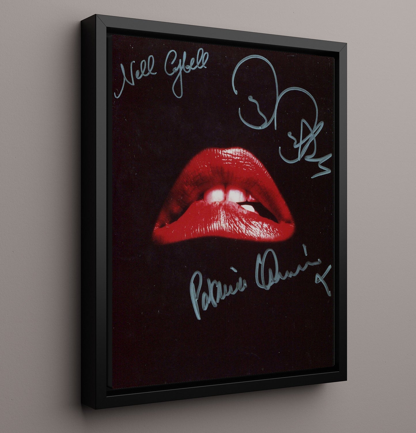 Rocky Horror - Red Lips of Madness movie wall art 16x20 Framed Canvas