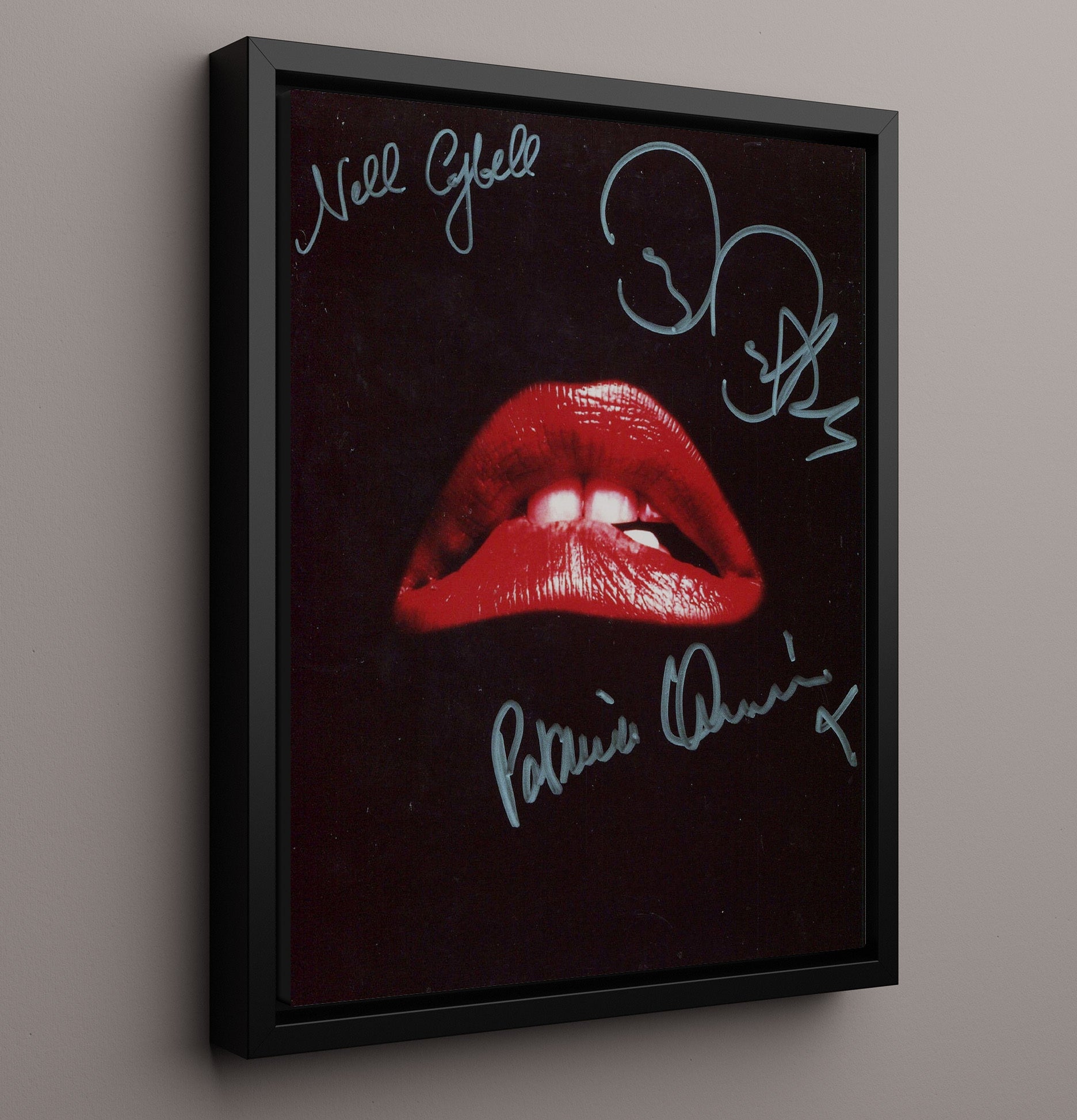 Rocky Horror - Red Lips of Madness movie wall art 16x20 Framed Canvas