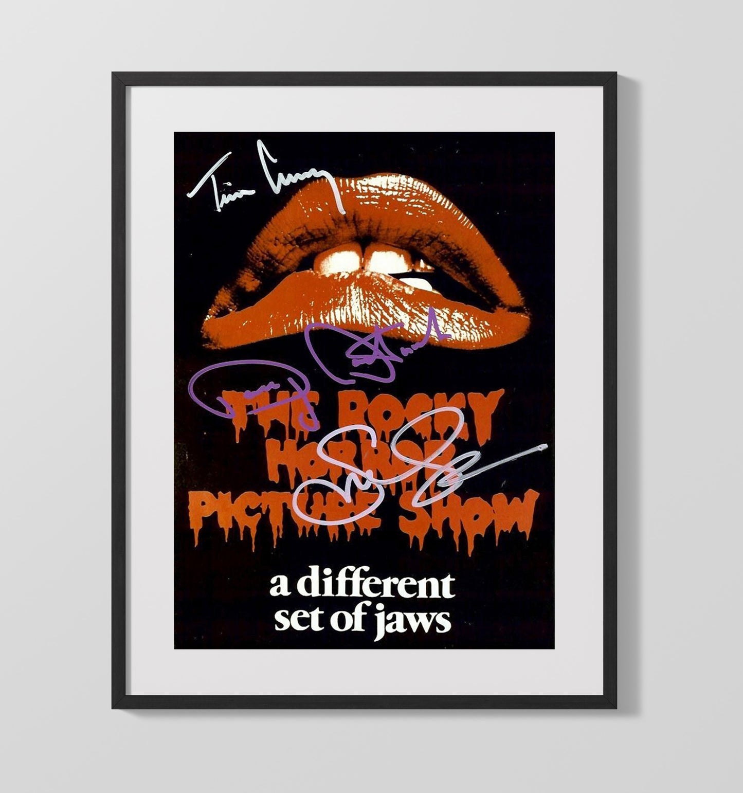 Rocky Horror Picture Show Cast - Lips and Legends movie wall art 16x20 Gallery Frame