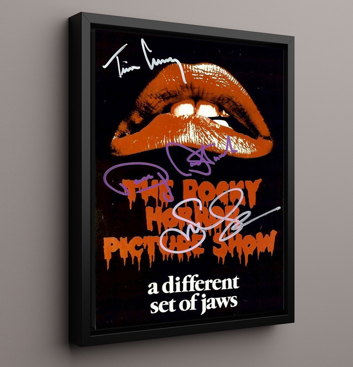 Rocky Horror Picture Show Cast - Lips and Legends movie wall art 16x20 Framed Canvas