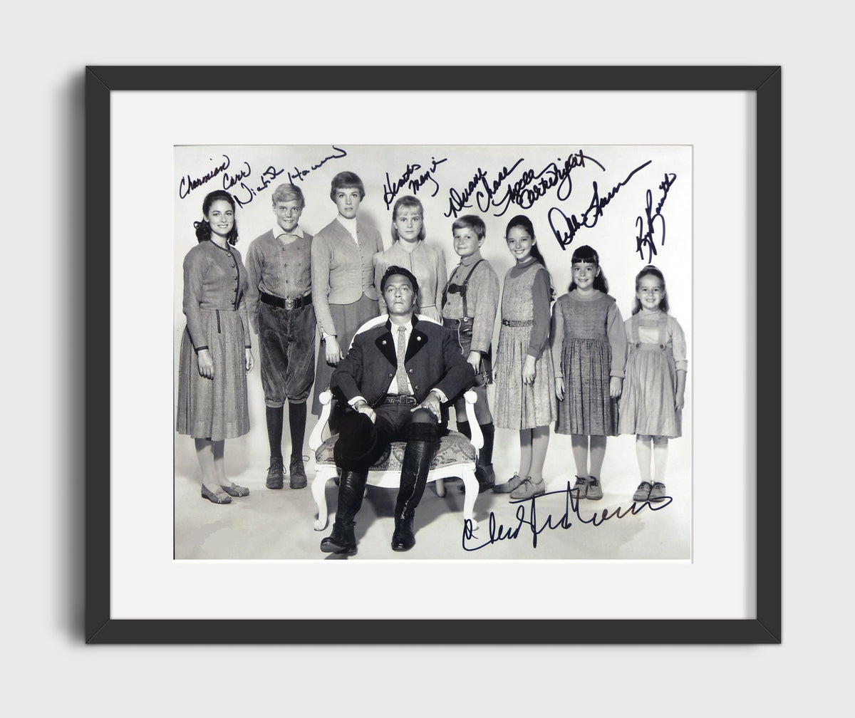 Sound of Music - Julie Andrews - Maria - Hills Are Alive Energy movie wall art 16x20 Gallery Frame
