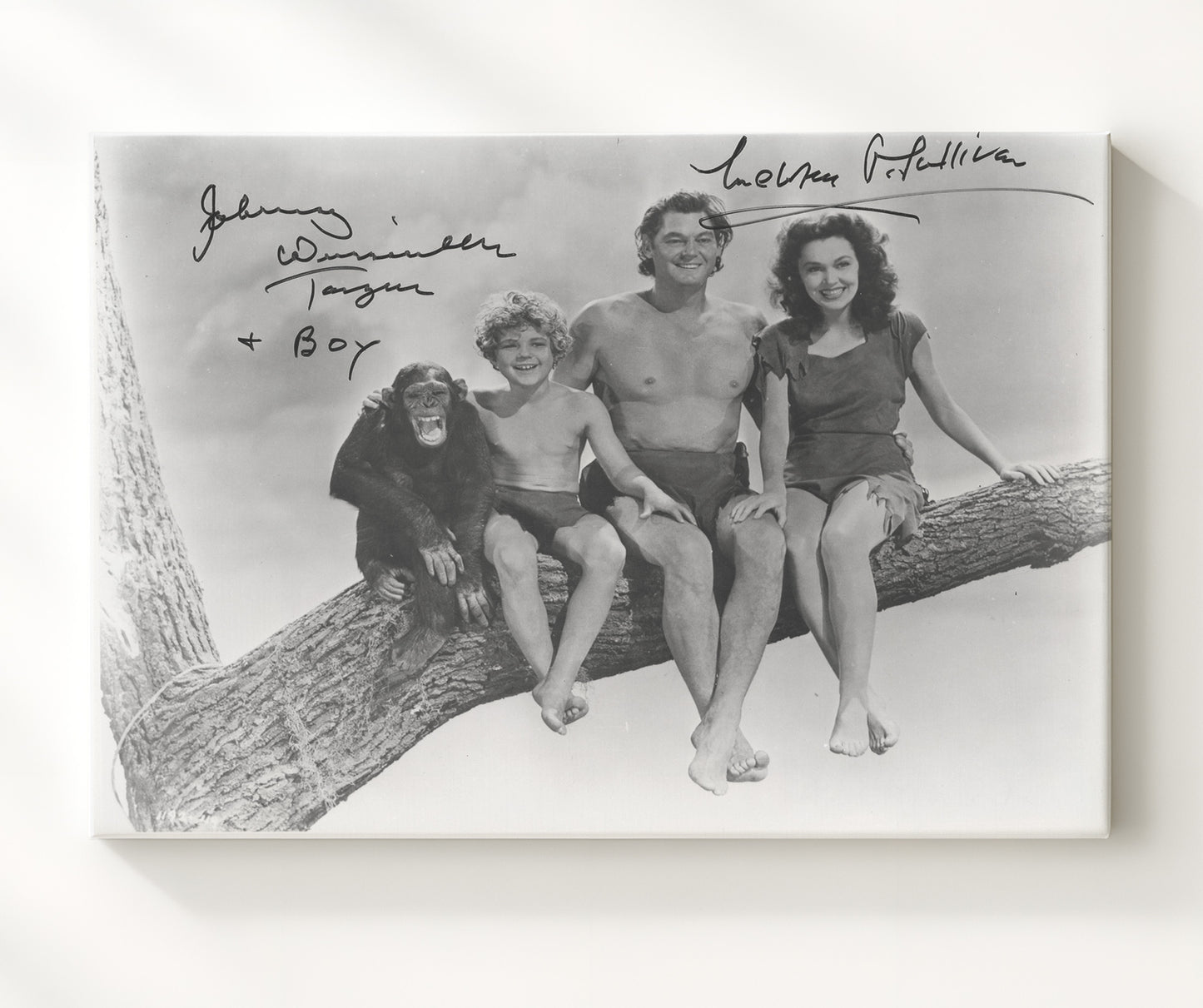 Tarzan - Johnny Weissmuller - Tarzan - and Maureen OSullivan - Jane - Jungle branch companionship movie wall art 20x24 Canvas