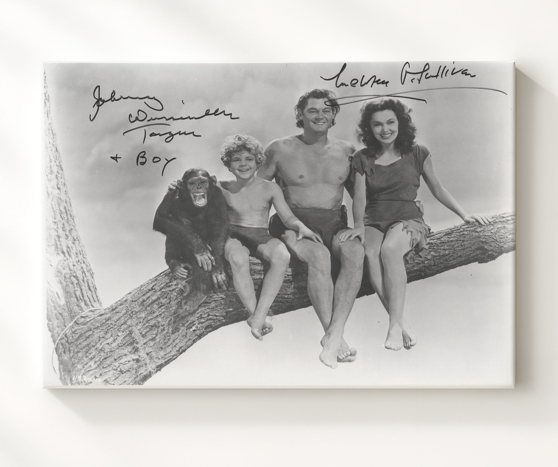 Tarzan - Johnny Weissmuller - Tarzan - and Maureen OSullivan - Jane - Jungle branch companionship movie wall art 20x24 Canvas