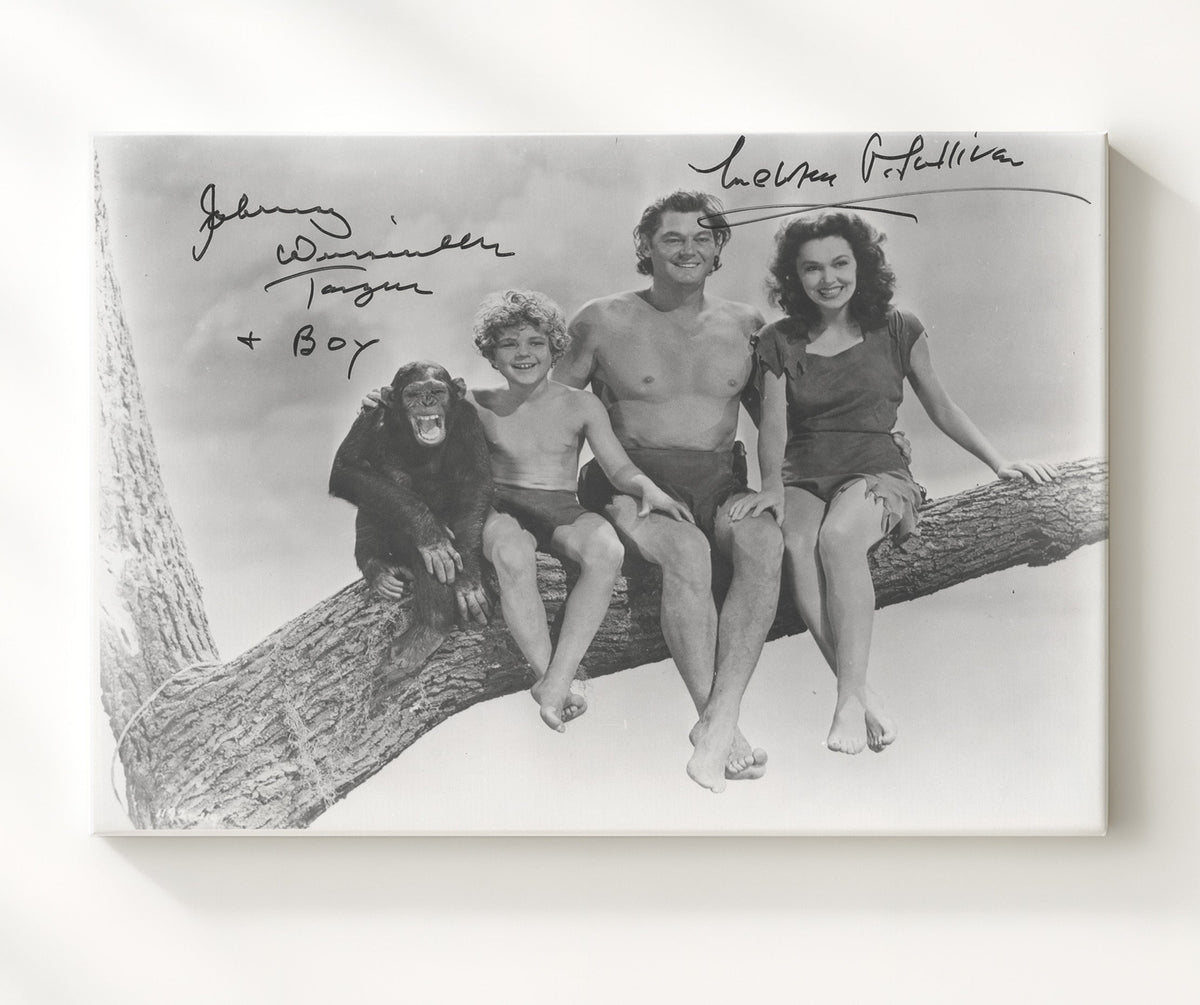 Tarzan - Johnny Weissmuller - Tarzan - and Maureen OSullivan - Jane - Jungle branch companionship movie wall art 8x10 Beveled Frame