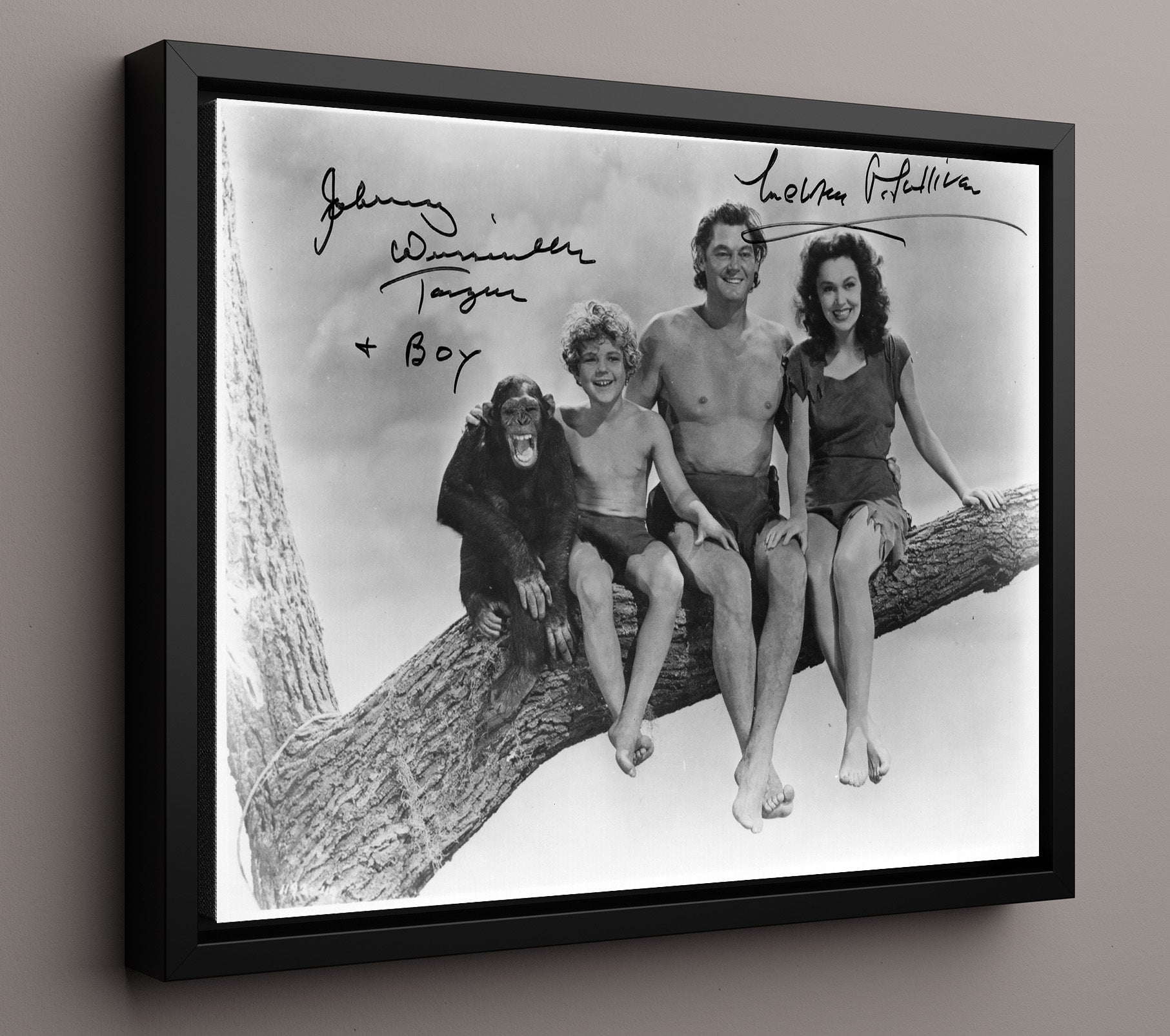Tarzan - Johnny Weissmuller - Tarzan - and Maureen OSullivan - Jane - Jungle branch companionship movie wall art 16x20 Framed Canvas