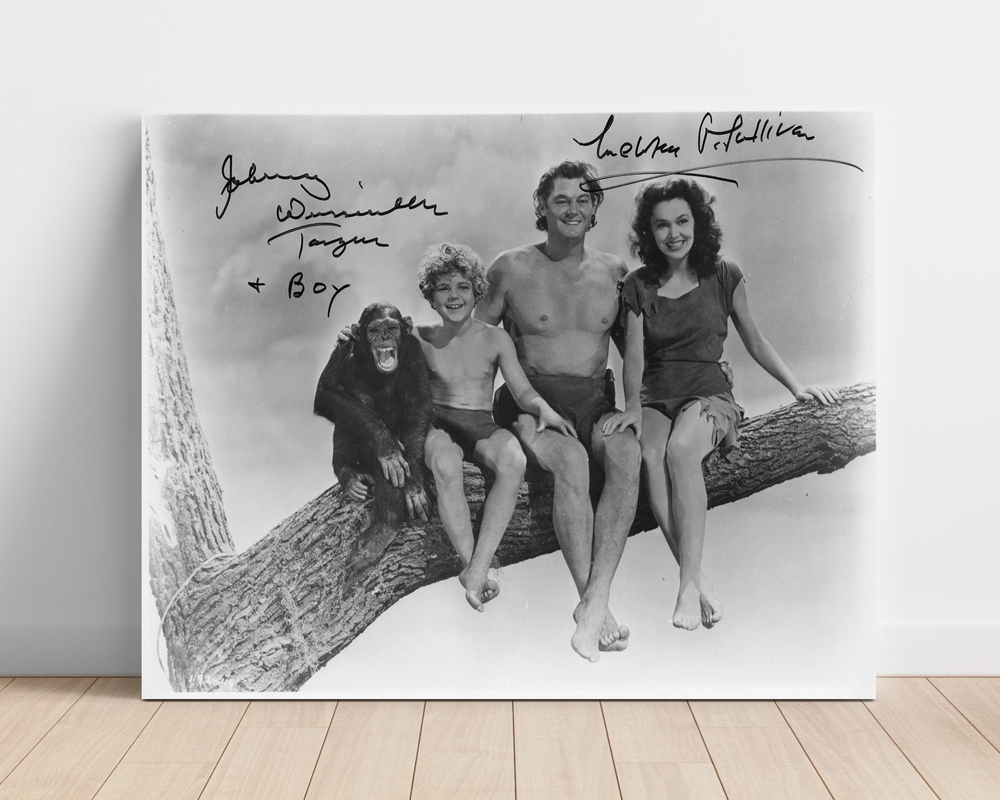 Tarzan - Johnny Weissmuller - Tarzan - and Maureen OSullivan - Jane - Jungle branch companionship movie wall art 16x20 Unframed Print