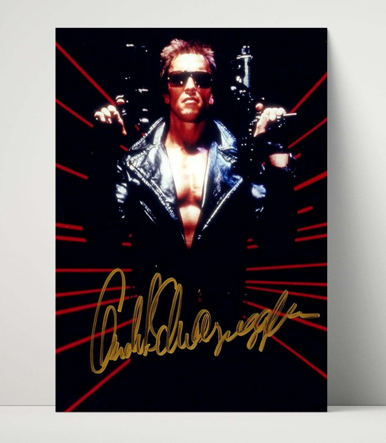 Terminator 2 - Arnold Schwarzenegger - T800 Leather Jacket Red Laser Background movie wall art 16x20 Unframed Print