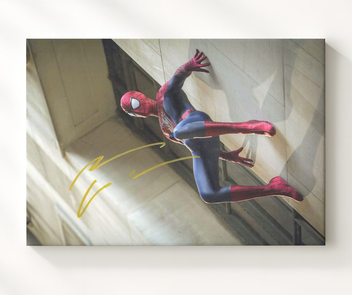 The Amazing Spider-Man 2 - Andrew Garfield - Spider-Man - Wall crawl action movie wall art 20x24 Canvas