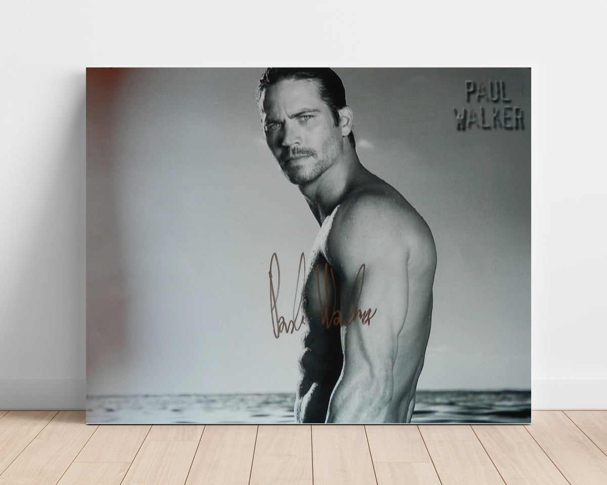 The Fast and the Furious - Paul Walker - Brian OConner - Calm before chaos movie wall art 16x20 Unframed Print