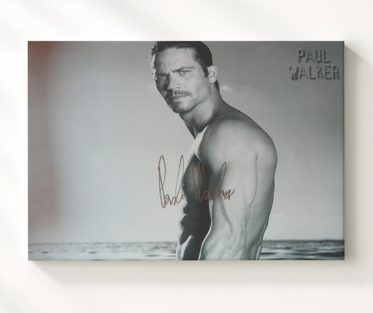 The Fast and the Furious - Paul Walker - Brian OConner - Calm before chaos movie wall art 20x24 Canvas