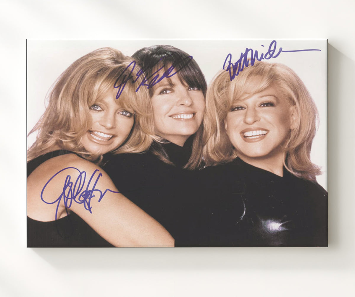 The First Wives Club - Bette Midler - Brenda - Reunion revenge smile movie wall art 20x24 Canvas