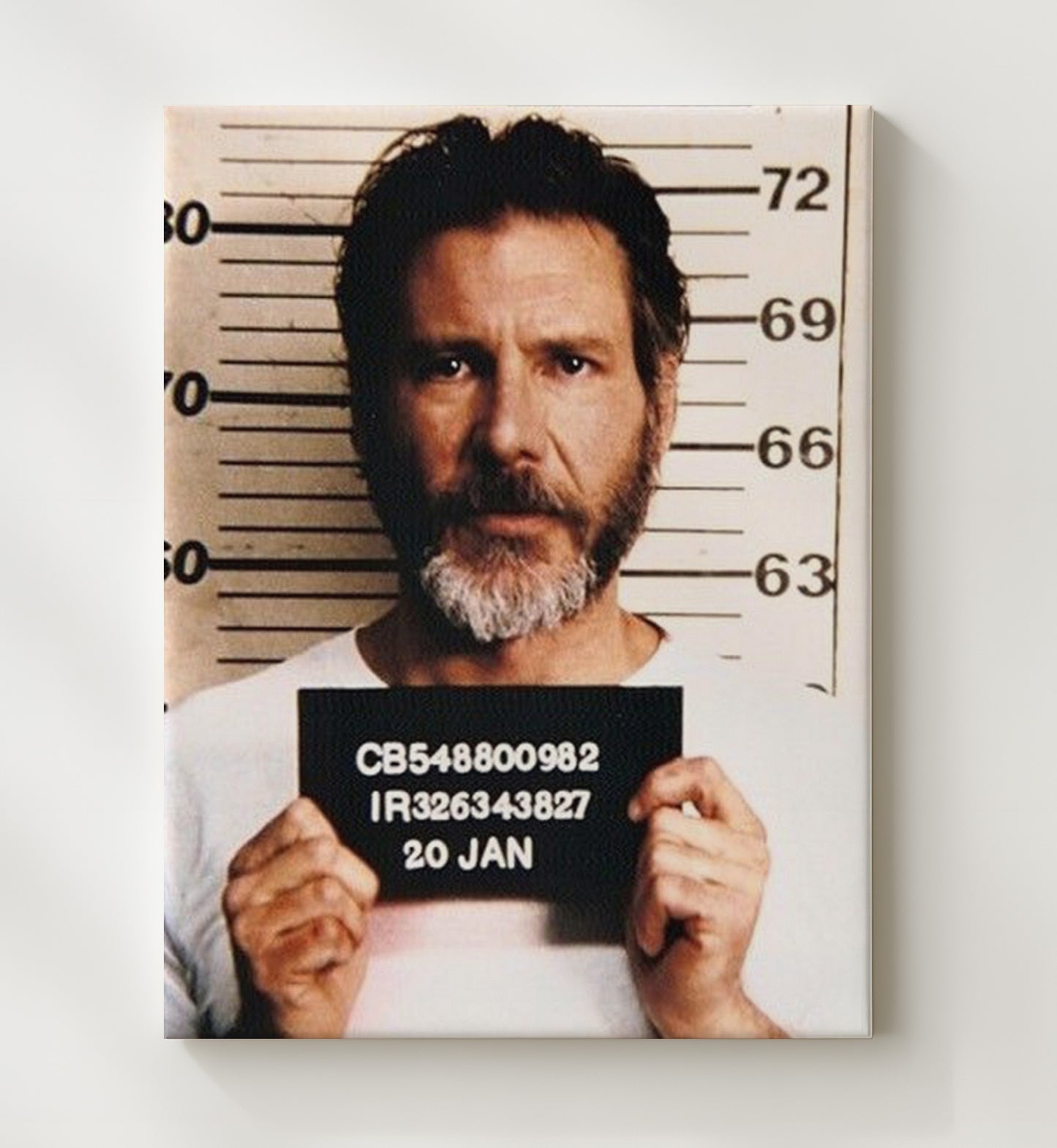 The Fugitive - Harrison Ford - Richard Kimble - Prison Intake Mugshot movie wall art 20x24 Canvas