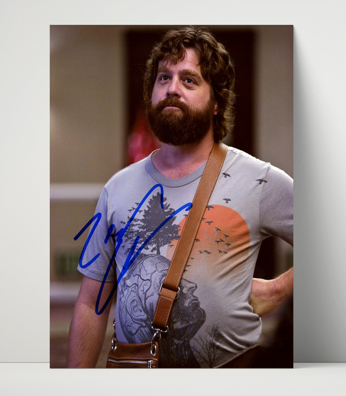 The Hangover - Zach Galifianakis - Alan - Awkward Beard Stare movie wall art 16x20 Unframed Print