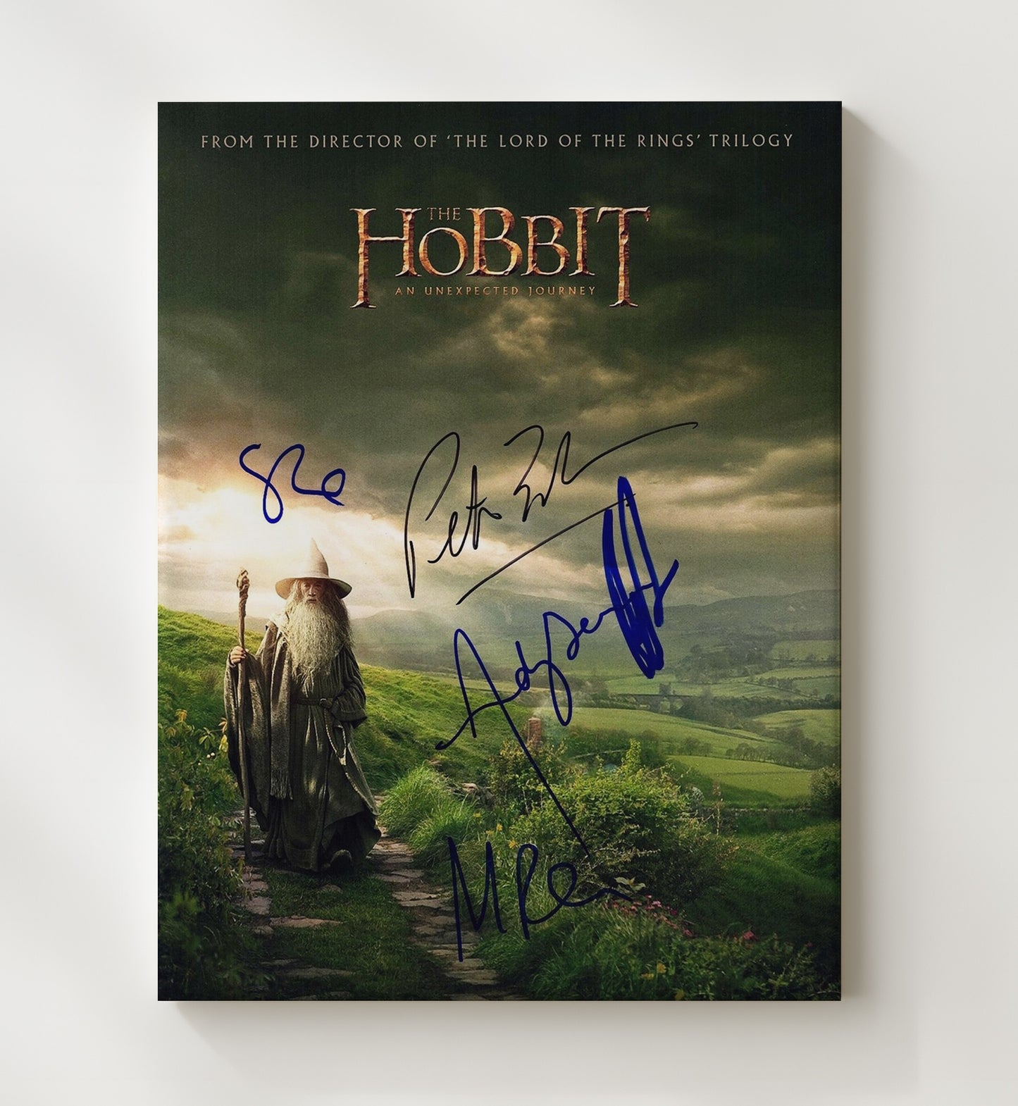 The Hobbit - Ian McKellen - Gandalf - Shire Path Journey movie wall art 20x24 Canvas