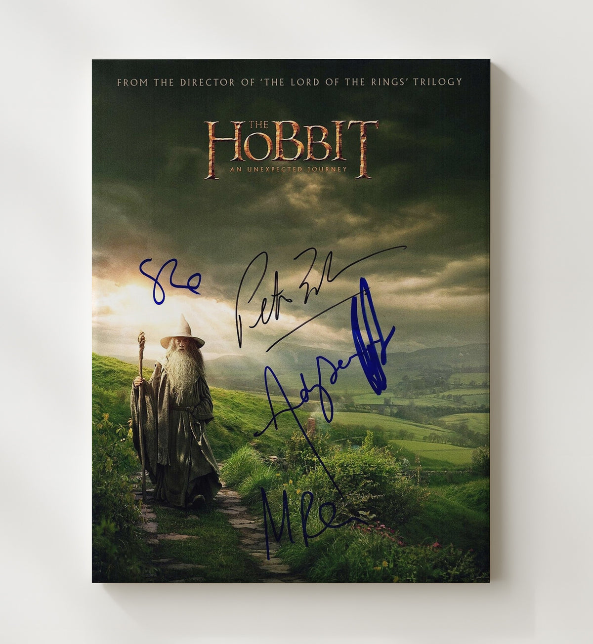 The Hobbit - Ian McKellen - Gandalf - Shire Path Journey movie wall art 20x24 Canvas