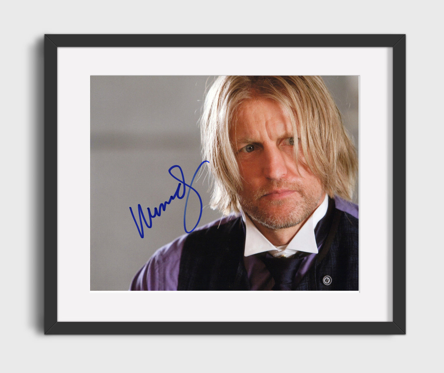 The Hunger Games - Woody Harrelson - Haymitch Abernathy - Drunken Mentor Vintage Movie Wall Art - 16x20 Gallery Frame movie decor
