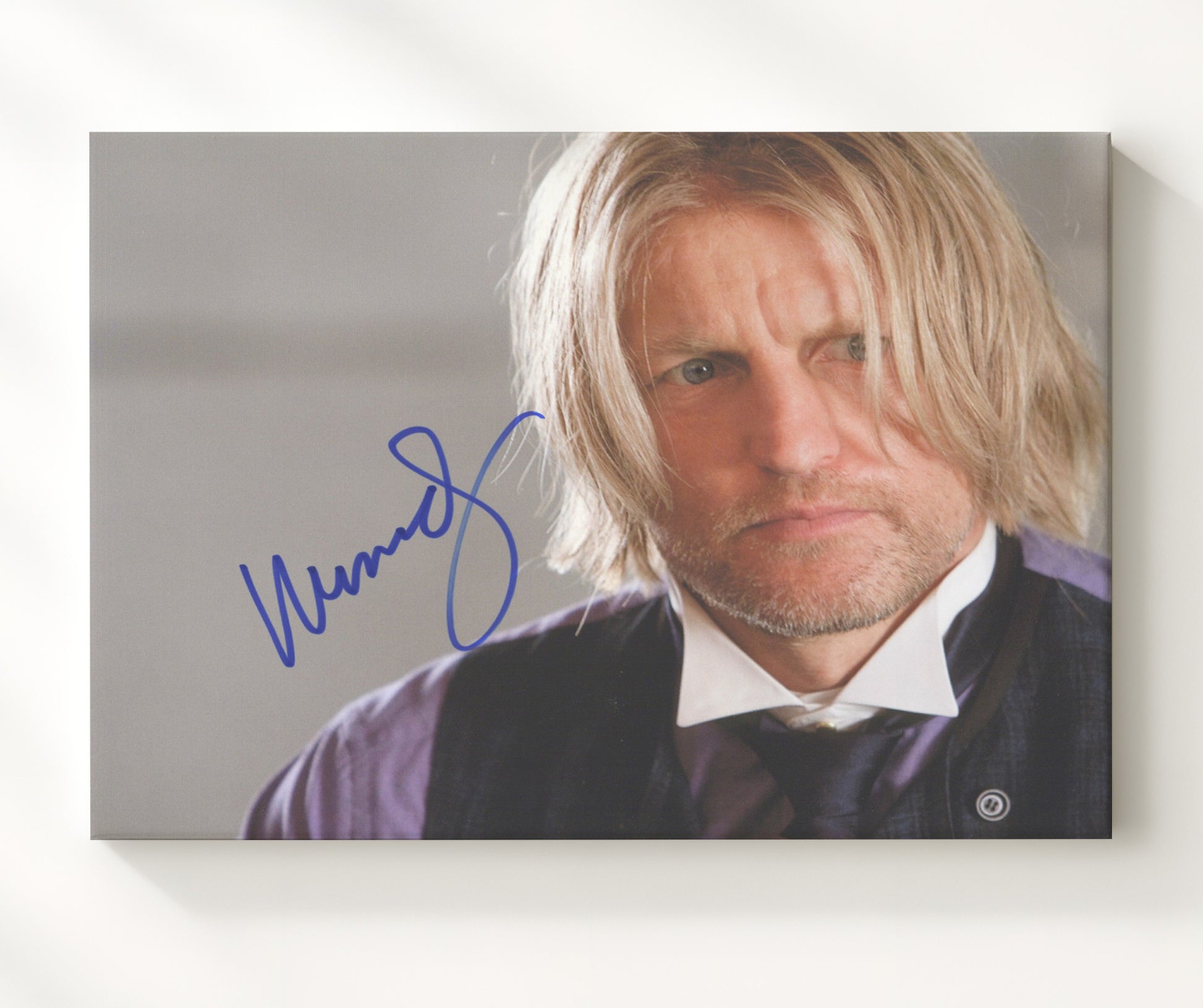 The Hunger Games - Woody Harrelson - Haymitch Abernathy - Drunken Mentor Vintage Movie Wall Art - 20x24 Canvas movie decor