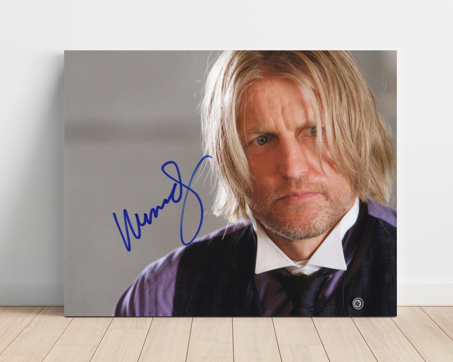 The Hunger Games - Woody Harrelson - Haymitch Abernathy - Drunken Mentor Vintage Movie Wall Art - 16x20 Unframed Print movie decor